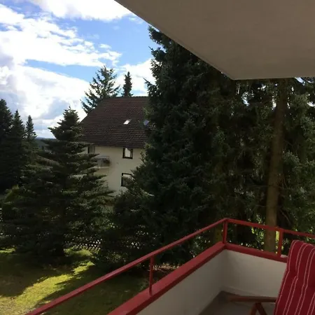 Gemuetliche 4-sterne-wohnung In By Interhome Apartment Braunlage