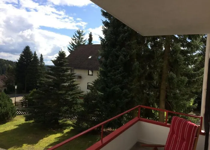 Gemuetliche 4-sterne-wohnung In By Interhome Apartment Braunlage