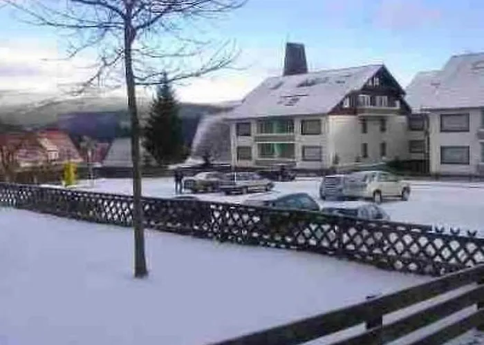 Gemuetliche 4-sterne-wohnung In By Interhome Braunlage